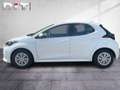 Toyota Yaris 1.5 Business Edition Navi Kamera DAB Blanco - thumbnail 3