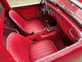Austin-Healey Sprite MK1, Frogeye Rot - thumbnail 15