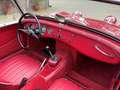 Austin-Healey Sprite MK1, Frogeye Rot - thumbnail 14