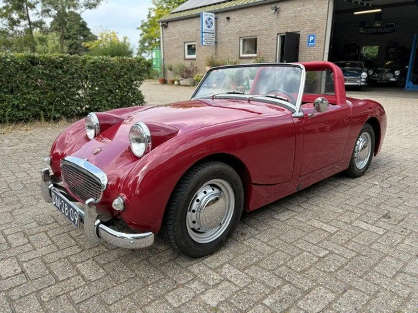 Austin-Healey Sprite MK1, Frogeye Rot - 2
