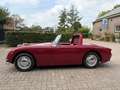 Austin-Healey Sprite MK1, Frogeye Rot - thumbnail 4