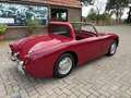 Austin-Healey Sprite MK1, Frogeye Rot - thumbnail 7