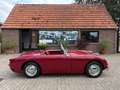 Austin-Healey Sprite MK1, Frogeye Rot - thumbnail 1