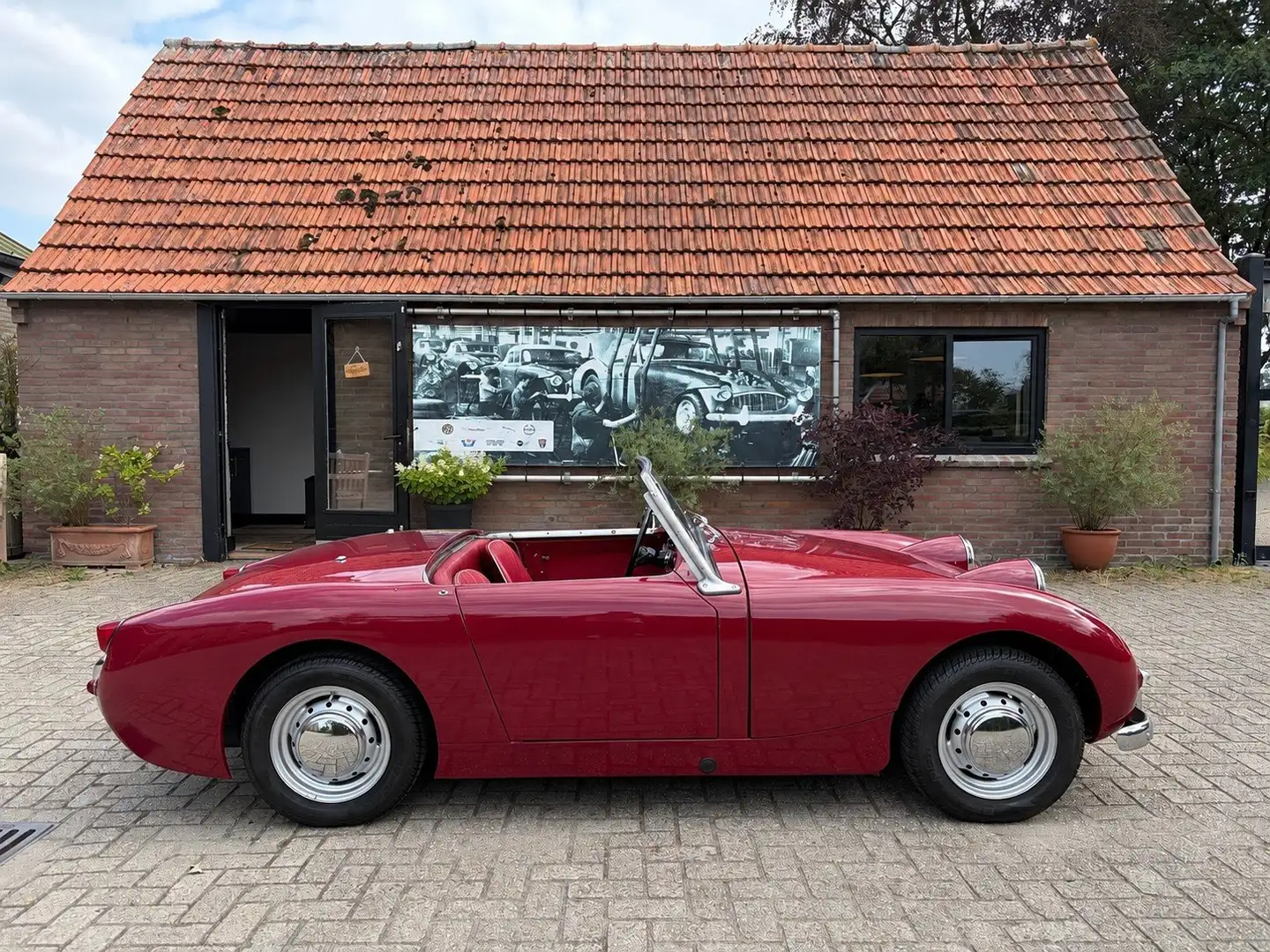 Austin-Healey Sprite MK1, Frogeye Rot - 1