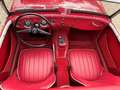 Austin-Healey Sprite MK1, Frogeye Rot - thumbnail 12