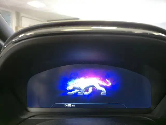 Ford Puma view 14