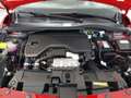 Fiat 600 STREET Rot - thumbnail 20