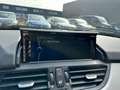 BMW Z4 Roadster SDrive High Executive sportstoelen automa Blauw - thumbnail 19