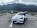 Tesla Model Y Model Y 62kWh Standard Range Plus Weiß - thumbnail 1