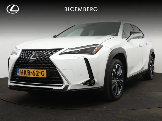 Lexus UX 250h Business Line | Blind Spot Monitor | Leder | Stuur