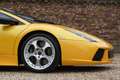 Lamborghini Murciélago "Manual transmission" "Giallo Orion" with black al Gelb - thumbnail 23