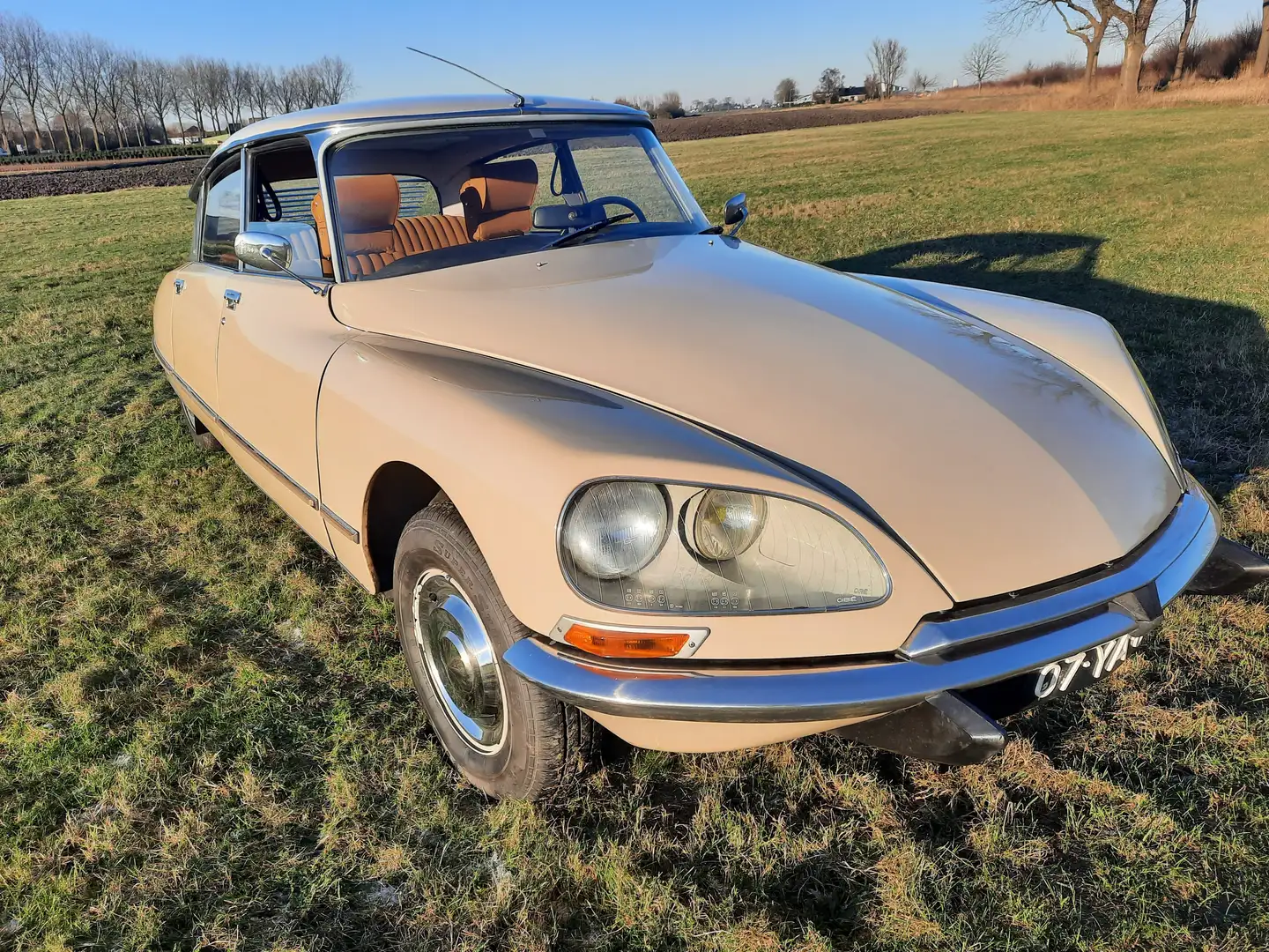 Citroen DS DS23 Pallas Beige - 1