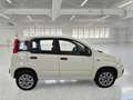 Fiat Panda Panda 0.9 t.air t. natural power Easy 70cv Bianco - thumbnail 6