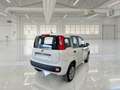 Fiat Panda Panda 0.9 t.air t. natural power Easy 70cv Bianco - thumbnail 2
