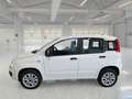 Fiat Panda Panda 0.9 t.air t. natural power Easy 70cv Bianco - thumbnail 7