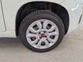 Fiat Panda Panda 0.9 t.air t. natural power Easy 70cv Bianco - thumbnail 14