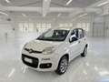 Fiat Panda Panda 0.9 t.air t. natural power Easy 70cv Bianco - thumbnail 1