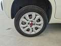 Fiat Panda Panda 0.9 t.air t. natural power Easy 70cv Bianco - thumbnail 15