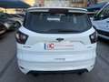 Ford Kuga 1.5 EcoB. Auto S&S ST-Line 4x2 120 Blanco - thumbnail 10