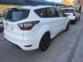 Ford Kuga 1.5 EcoB. Auto S&S ST-Line 4x2 120 Blanco - thumbnail 11