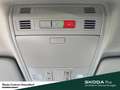 Skoda Scala Drive DSG Fahrassistenz-Paket Komfort-Paket Plus A Grau - thumbnail 16