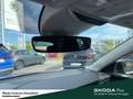 Skoda Scala Drive DSG Fahrassistenz-Paket Komfort-Paket Plus A Grau - thumbnail 15