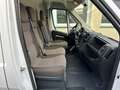 Peugeot Boxer Kasten Hochraum 333 L2H2 Premium BlueHDi Weiß - thumbnail 15