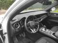 Alfa Romeo Stelvio 2.2 t Super Business Q4 190cv auto - thumbnail 6