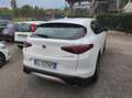 Alfa Romeo Stelvio 2.2 t Super Business Q4 190cv auto - thumbnail 3