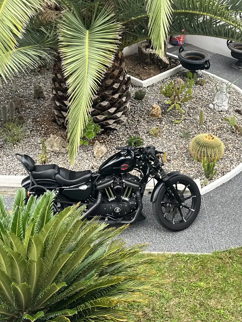 Harley-Davidson Iron 883 stage 1 pot filtre support de plaque - 2