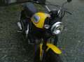 Ducati Scrambler Ducati Scrambler 800 Icon Yellow 2016 Galben - thumbnail 10