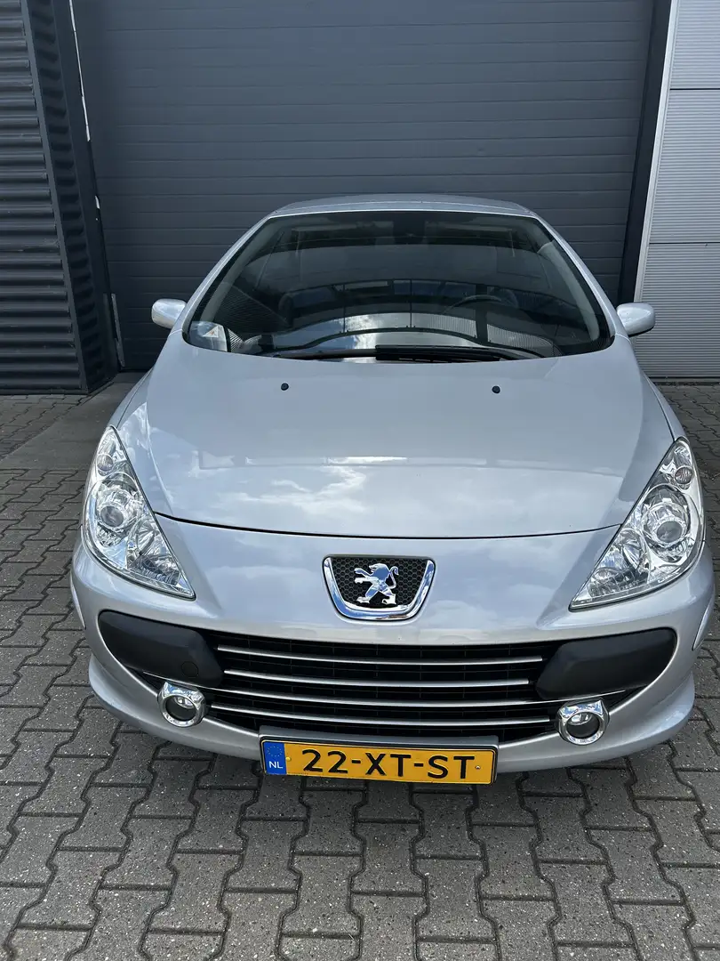 Peugeot 307 2.0-16V Grijs - 1