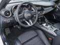 Alfa Romeo Giulia Veloce Q4 PANORAMA, ASSISTENZ & PREMIUM Weiß - thumbnail 15