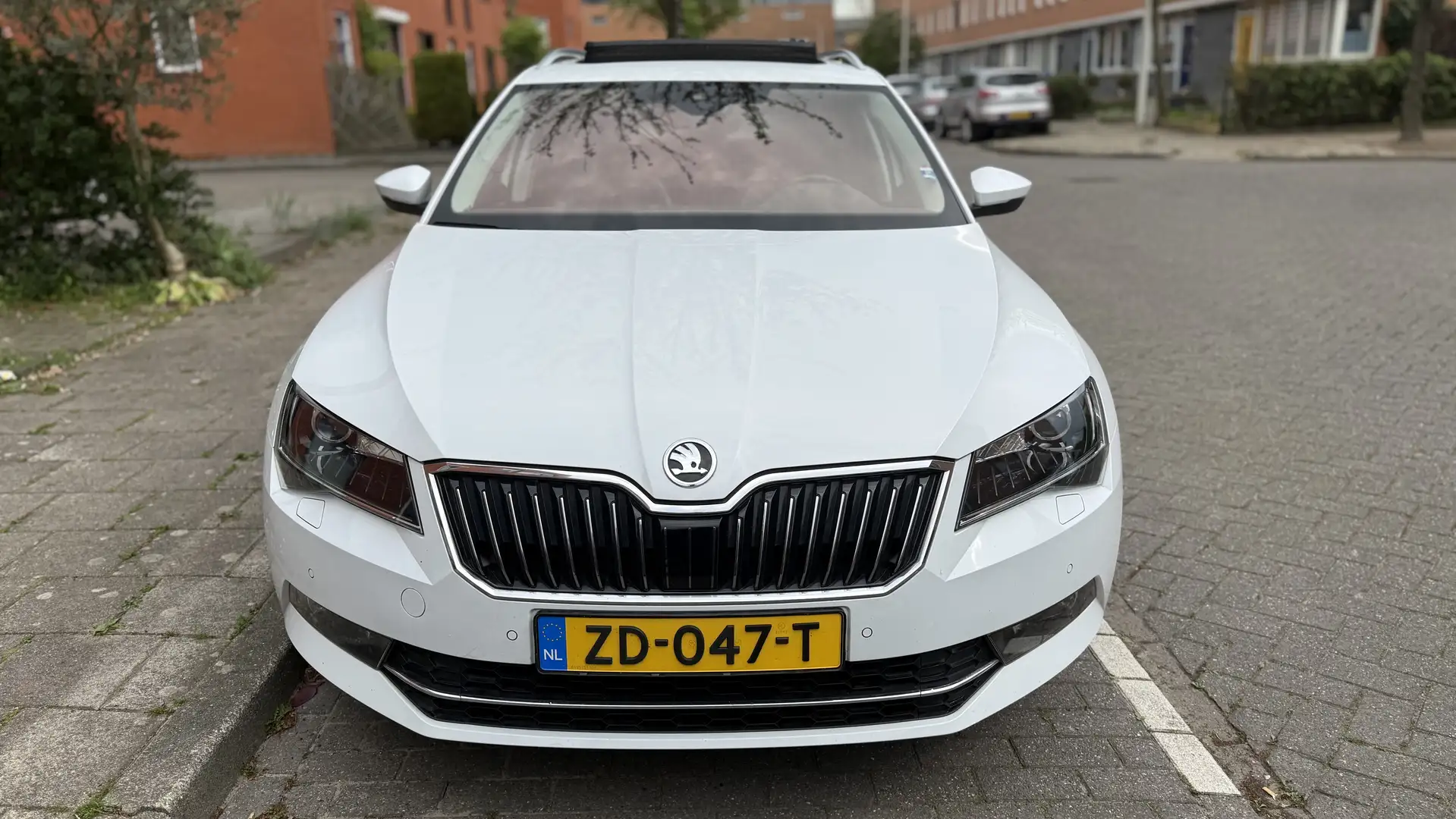 Skoda Superb 1.5 TSI Business Edition Bílá - 2