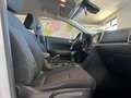 Kia Sportage Sportage 2021 1.6 crdi Black Edition 2wd 136cv Weiß - thumbnail 6
