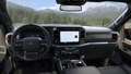 Ford F 150 NEW! 2024 Raptor € 107500 +801A Raptor® High Grün - thumbnail 6