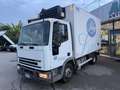 Iveco Eurocargo 75E15Frigo ATP05 27 4100x2060x2150kg2300 Bianco - thumbnail 3