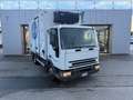 Iveco Eurocargo 75E15Frigo ATP05 27 4100x2060x2150kg2300 Bianco - thumbnail 1