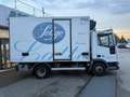 Iveco Eurocargo 75E15Frigo ATP05 27 4100x2060x2150kg2300 Bianco - thumbnail 5