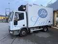 Iveco Eurocargo 75E15Frigo ATP05 27 4100x2060x2150kg2300 Bianco - thumbnail 4