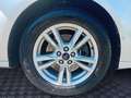 Ford S-Max 2.0 EcoBlue Aut. TITANIUM Silber - thumbnail 16