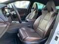 Opel Insignia GSi 2.0 D 4x4 AHK Navi LED PDC Kamera Leder Braun Bianco - thumbnail 10