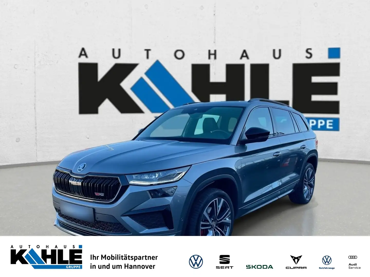 Skoda Kodiaq RS 2.0 TSI 4x4 DSG AHK Standheizung Grau - 1