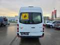 Mercedes-Benz Sprinter 513 (Stock ID 50502) Weiß - thumbnail 8