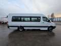 Mercedes-Benz Sprinter 513 (Stock ID 50502) Weiß - thumbnail 13