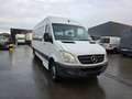 Mercedes-Benz Sprinter 513 (Stock ID 50502) Weiß - thumbnail 3