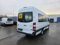 Mercedes-Benz Sprinter 513 (Stock ID 50502) Weiß - thumbnail 12