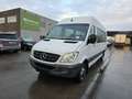Mercedes-Benz Sprinter 513 (Stock ID 50502) Weiß - thumbnail 1