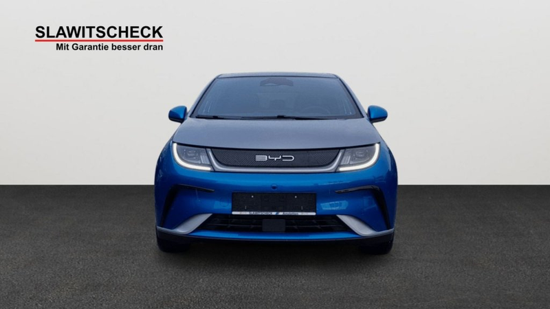 BYD Dolphin Design — photo 6