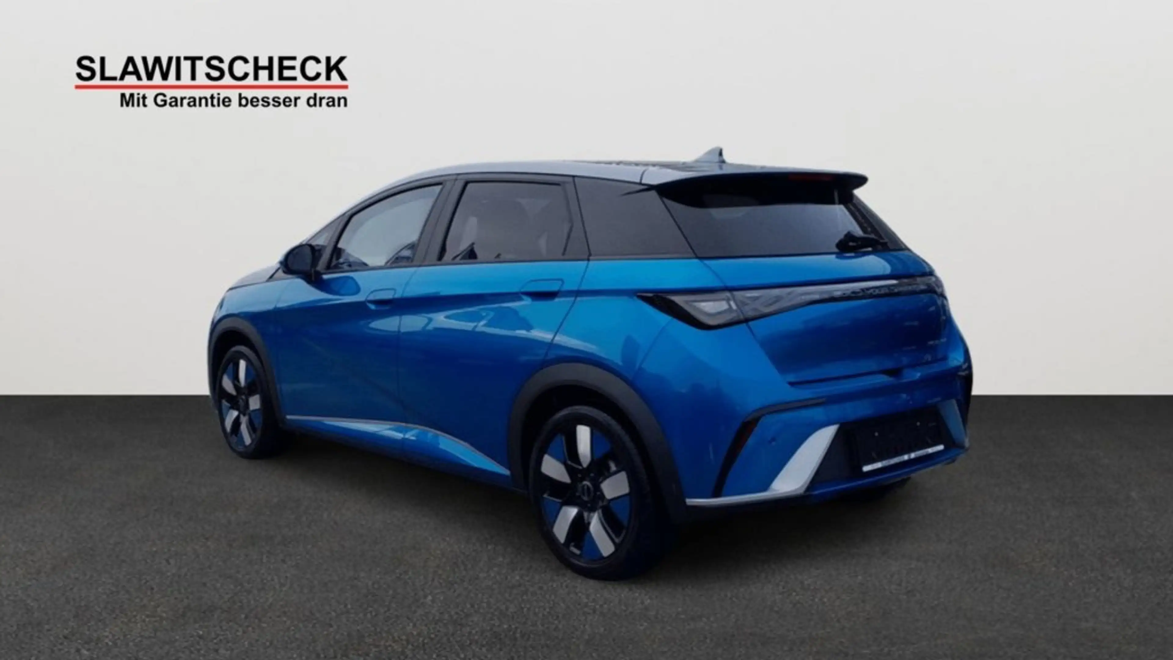BYD Dolphin Design — photo 3